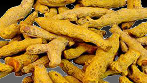Ambahaldi (Curcuma Amada)
