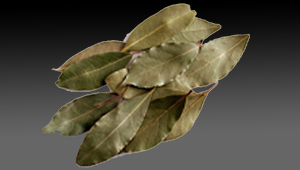 Bay Leaves