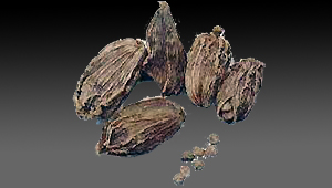Black Cardamom