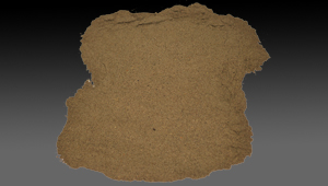 Black Pepper Powder
