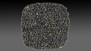 Black Sesame Seed