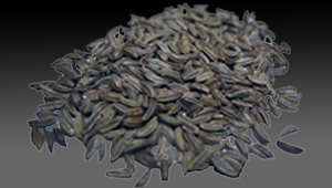 Caraway Seed