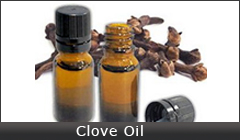 Clove-Oil
