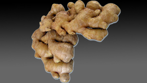 Dry Ginger