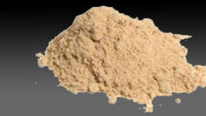 Dry Mango Powder