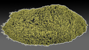 Fennel Powder