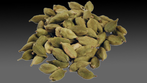 Green Cardamom