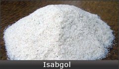 Isabgol