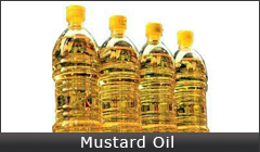 Mustard-Oil