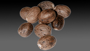 Nutmeg