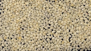 Sesame Seed Hulled