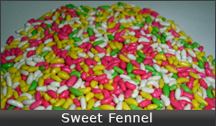 Sweet-Fennel