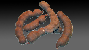Tamarind